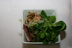 20120309-015